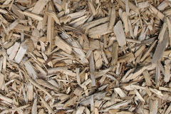biomass boilers Gonamena