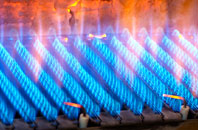 Gonamena gas fired boilers